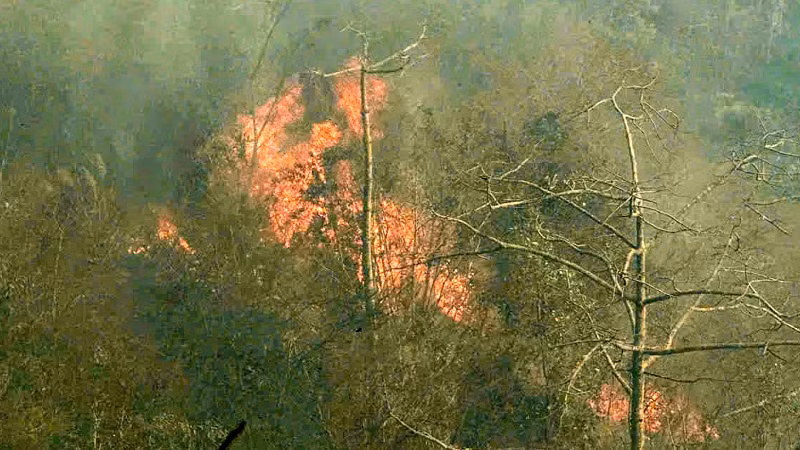 Vụ cháy xảy ra tại khu vực hiểm trở, dốc đứng nên công tác chữa cháy gặp khó khăn.