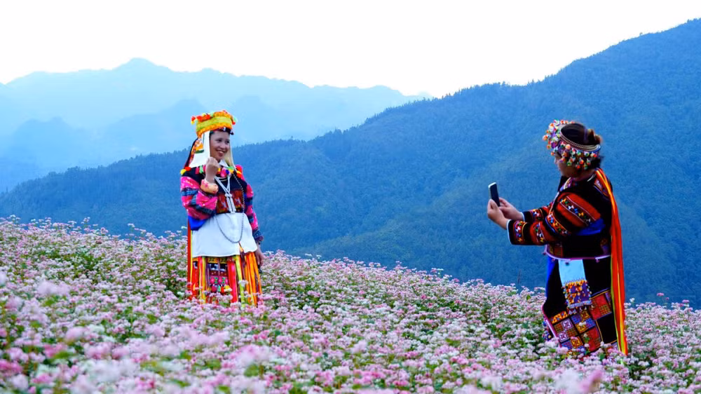 Dịp lễ hội hoa tam giác mạch hằng năm thu hút đông đảo du khách đến tham quan.