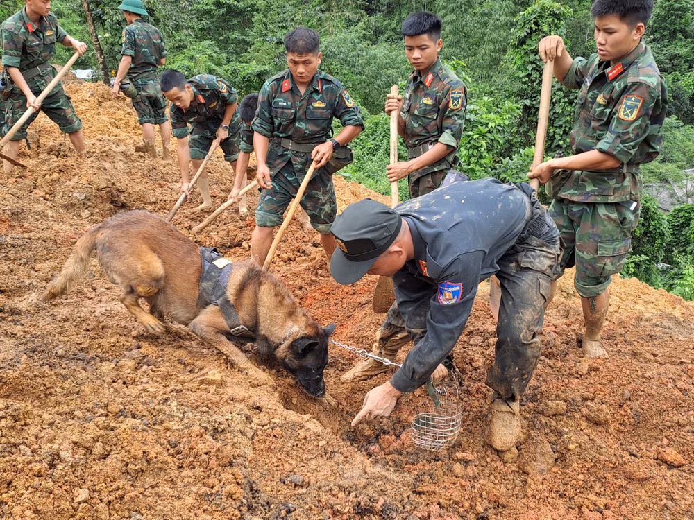 Lực lượng chức năng sử dụng cuốc xẻng, chó nghiệp vụ để tìm kiếm người mất tích.