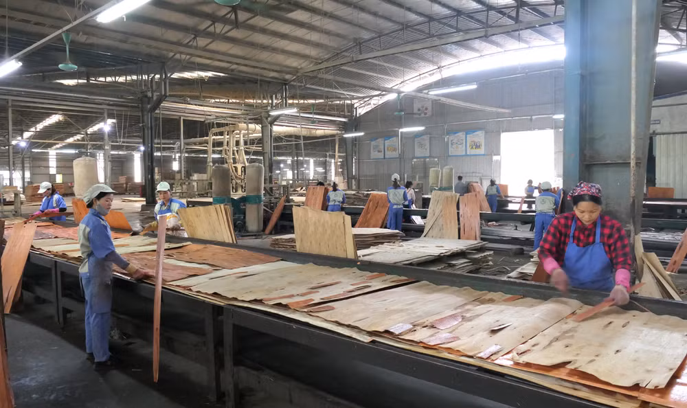 Với lợi thế diện tích rừng lớn, Vị Xuyên là địa phương có tiềm năng đối với ngành công nghiệp chế biến gỗ ván ép, gỗ công nghiệp. (Trong ảnh: Nhà máy sản xuất gỗ ván ép tại khu công nghiệp Bình Vàng, huyện Vị Xuyên).