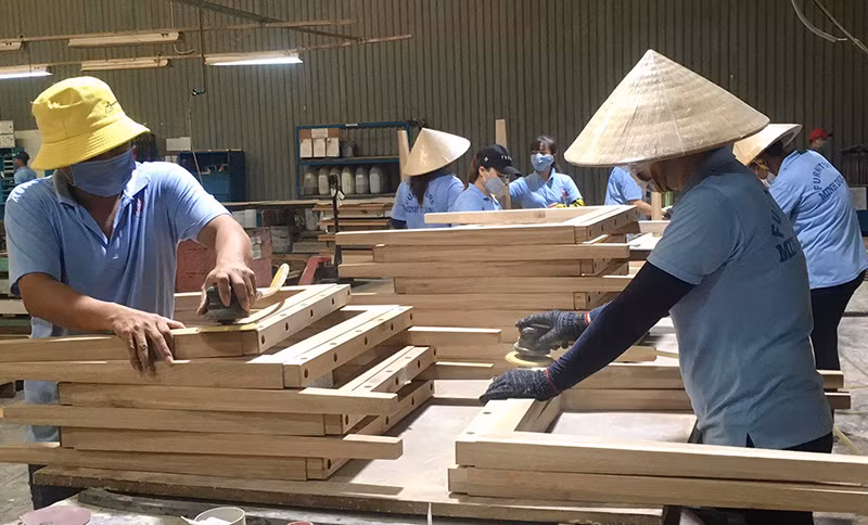 Phụ nữ ngày càng tham gia tích cực trong hoạt động sản xuất của các doanh nghiệp lâm nghiệp.