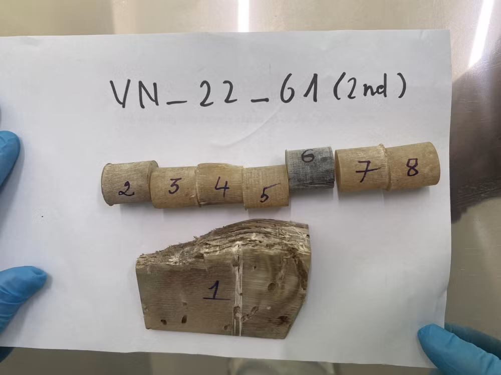 Tang vật một vụ buôn lậu sừng tê giác trái phép. (Ảnh: Công an thành phố Hà Nội)