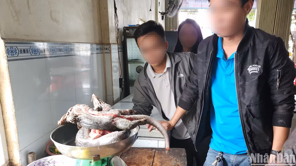 Các cá thể kỳ đà hoa được chào bán cho khách tại Đức Cơ, Gia Lai. (Ảnh: Sơn Bách)