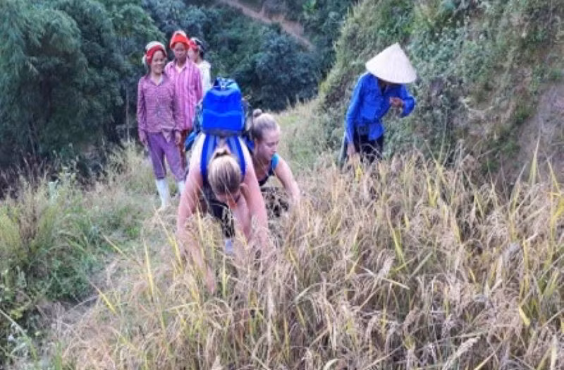 Việt Nam đang gặp nhiều thách thức trong việc phát triển du lịch cộng đồng chất lượng và tạo ra những sản phẩm du lịch giá trị.