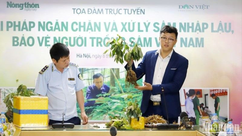Ông Trần Đức An, Giám đốc điều hành Công ty Cổ phần sâm Ngọc Linh Tu Mơ Rông Kon Tum chia sẻ về nhận diện sâm trong nước và các loại sâm không rõ nguồn gốc xuất xứ.