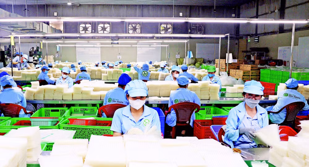 Dây chuyền sản xuất bánh tráng thành phẩm của Công ty TNHH Tân Nhiên, tỉnh Tây Ninh. (Ảnh: TTXVN)