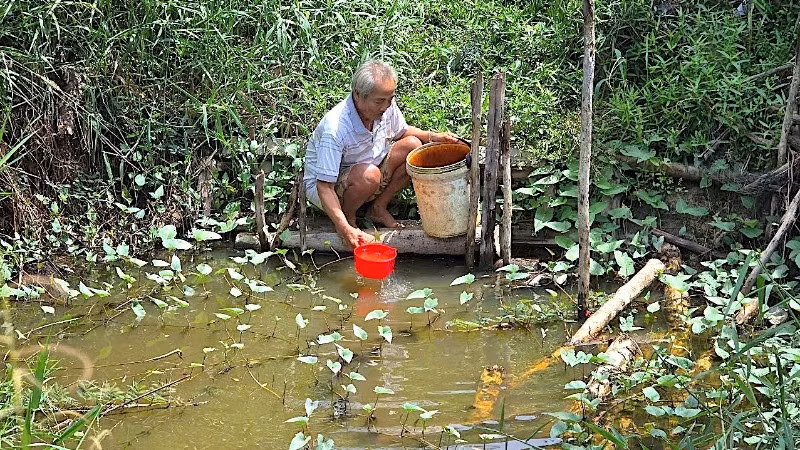 Suốt chiều dài khoảng 6 km tuyến kênh Bảy Kinh, các hộ dân sinh sống dọc trên tuyến thuộc các ấp 12, 13, 16 và 17 cùng tình cảnh khan hiếm nước sinh hoạt trong nhiều mùa khô liên tiếp.