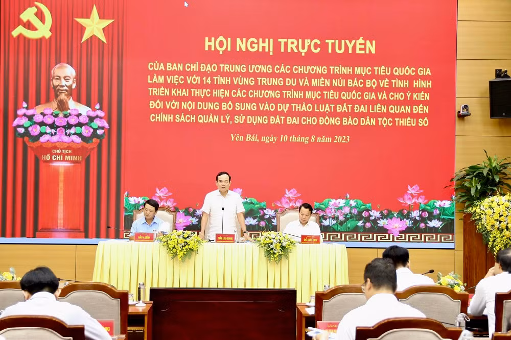 Phó Thủ tướng Trần Lưu Quang phát biểu chỉ đạo hội nghị trực tuyến.