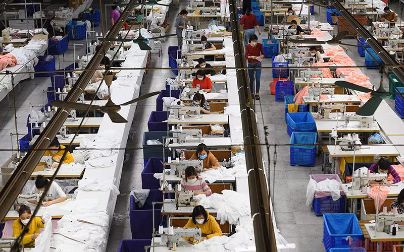 Ảnh minh họa: Thành Đạt