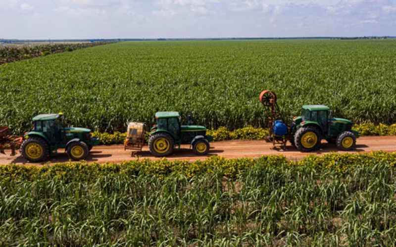 Cánh đồng mía của TTC AgriS.