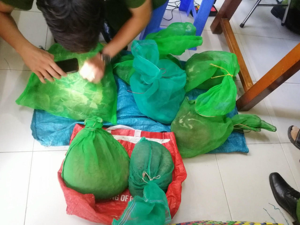 Toàn bộ số động vật nguy cấp, quý hiếm bị công an bắt giữ (ảnh do CA cung cấp). 