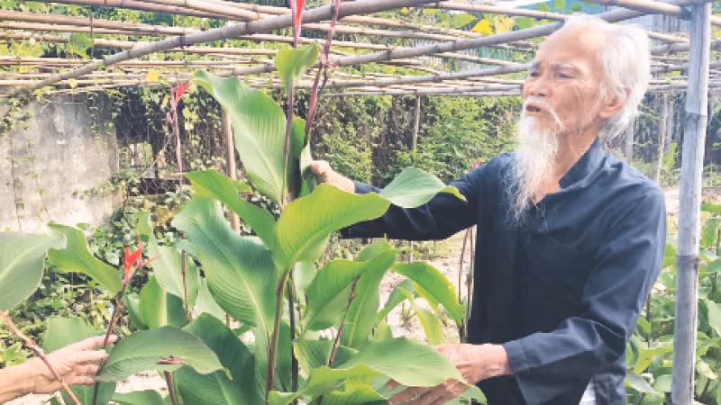 Đồng chí Lê Cơ, đảng viên bí mật ở Tua Hai năm 1960, đang chăm sóc vườn thuốc nam của gia đình.