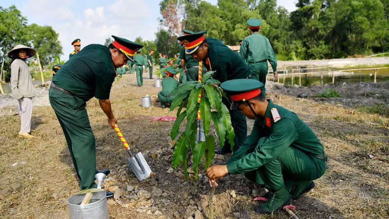 Các cơ quan, đơn vị thuộc Bộ Chỉ huy Quân sự tỉnh Kiên Giang đồng loạt ra quân trồng cây xanh.