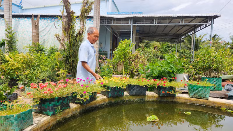 Những sợi dây nhựa buộc gạch tưởng chừng bỏ đi, được ông Nguyễn Văn Lẹ đan thành chậu trồng hoa kiểng.