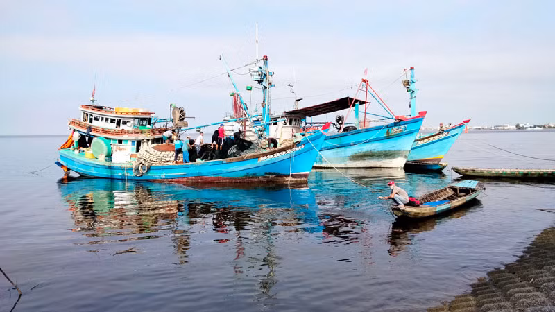 Kiên Giang cấm khai thác nghêu lụa, sò huyết, hến tại vùng ven bờ biển từ ngày 1/7/2023.