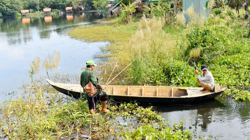 Lực lượng chức năng sử dụng kích điện để truy tìm cá sấu.