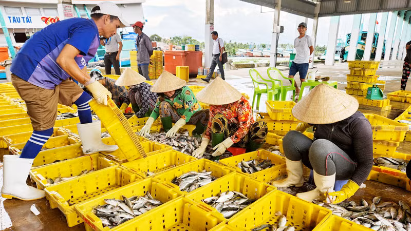 Tốc độ tăng trưởng kinh tế tỉnh Kiên Giang bình quân giai đoạn 2021-2023 ước đạt 5,29%/năm. 