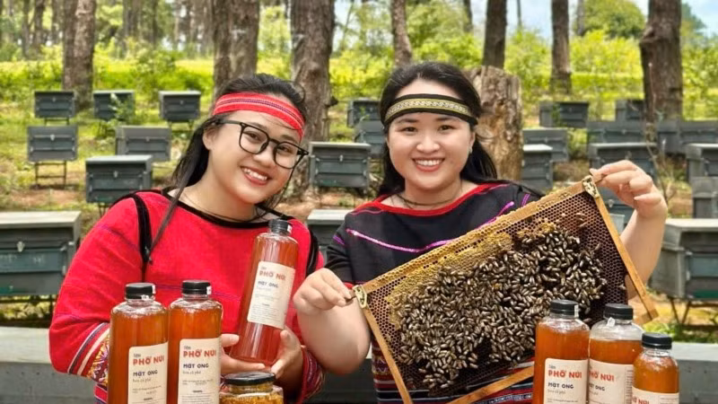 Nhiều bạn trẻ biến những tài nguyên bản địa và khát vọng trở thành những sản phẩm có giá trị gia tăng cao, sản phẩm OCOP.