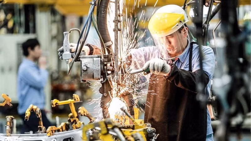 Khi một doanh nghiệp thành công là một vùng đất khởi sắc, là hàng chục hộ dân có thu nhập, là một chuỗi giá trị địa phương được kích hoạt.