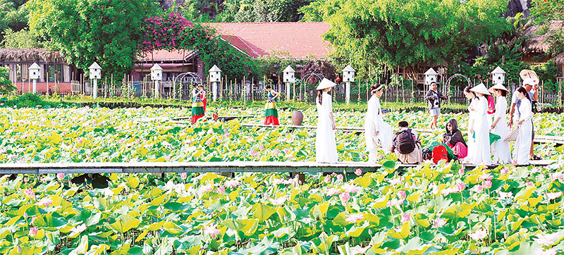 Hàng chục héc-ta đất trồng lúa kém hiệu quả đã được nông dân Ninh Bình chuyển đổi sang trồng sen phục vụ du lịch, cho thu nhập cao. (Ảnh MINH ĐƯỜNG)