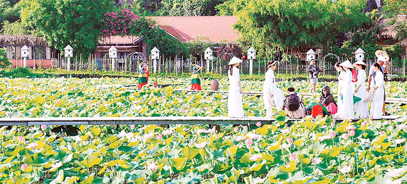 Hàng chục héc-ta đất trồng lúa kém hiệu quả đã được nông dân Ninh Bình chuyển đổi sang trồng sen phục vụ du lịch, cho thu nhập cao. (Ảnh MINH ĐƯỜNG)