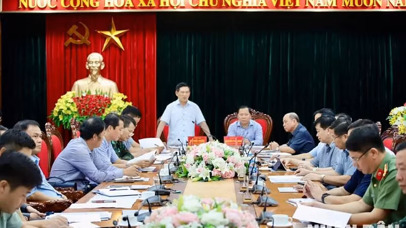 Phó Thủ tướng Hồ Đức Phớc phát biểu tại buổi làm việc.