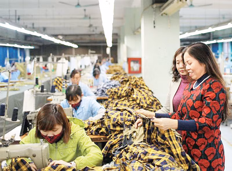 Nữ doanh nhân Ninh Thị Ty, Chủ tịch HĐQT Tập đoàn Hồ Gươm (người đứng đầu tiên bên phải) được mệnh danh là "nữ tướng của ngành may" với hai lần vực dậy các công ty may trên bờ vực phá sản. 