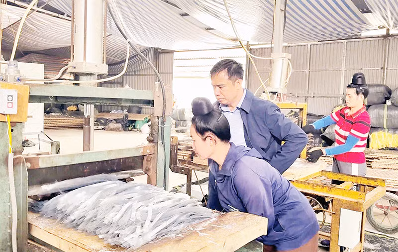 Đại diện Ủy ban nhân dân thành phố Điện Biên Phủ kiểm tra cơ sở chế biến miến dong tại xã Nà Tấu.