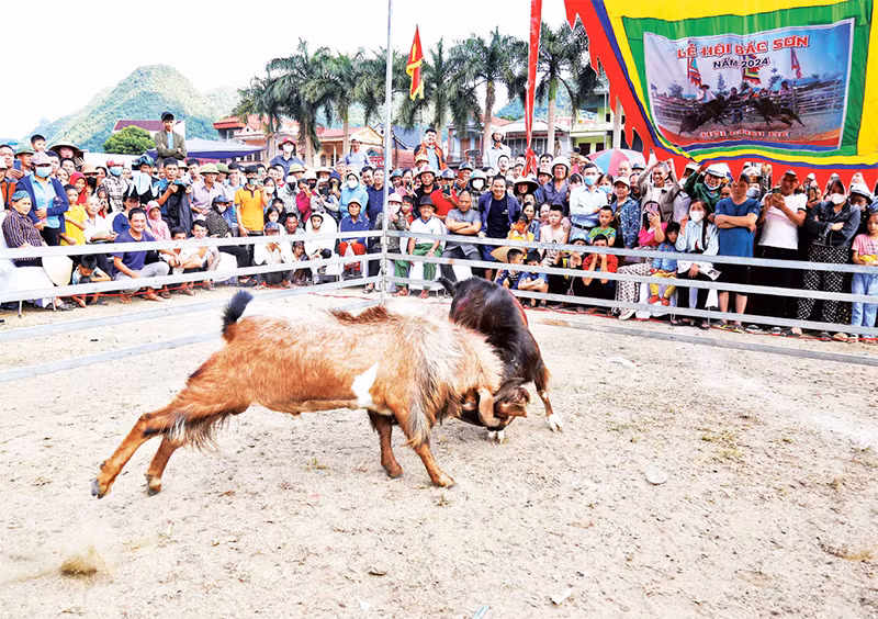 Người dân, du khách xem hội thi chọi dê. Người dân, du khách xem hội thi chọi dê.