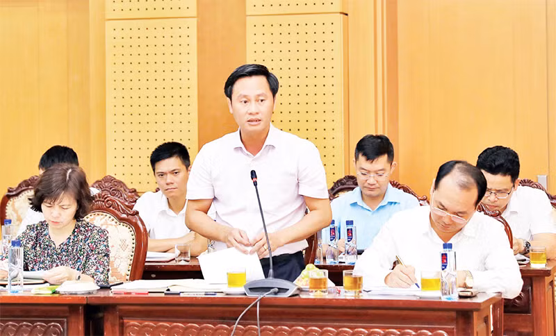Phó Chủ tịch Ủy ban nhân dân huyện Đông Anh trao đổi ý kiến với Đoàn giám sát về thực tế tại địa phương.