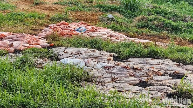 Hiện trường vụ đổ chất thải gây ô nhiễm môi trường ở thị trấn Tà Lùng, huyện Quảng Hòa, tỉnh Cao Bằng.