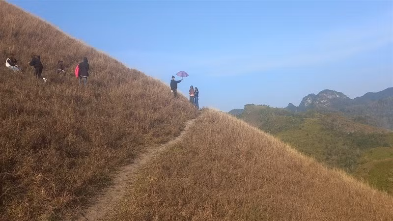 Một vạt cỏ cháy mang đầy sắc màu mộng mị.