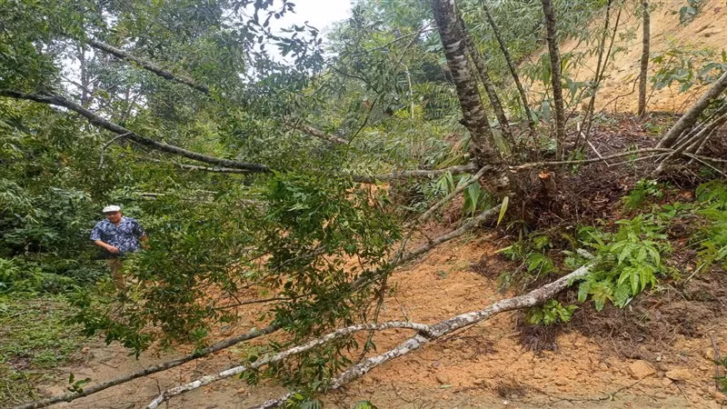 Đường giao thông ở xã Trọng Con, huyện Thạch An, tỉnh Cao Bằng bị sạt lở.