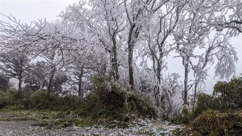 Đỉnh Phja Oắc trong những ngày mùa đông, nhiệt độ xuống thấp, độ ẩm cao.