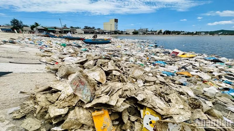 Nguy cơ dịch bệnh từ rác thải ứ đọng nhiều năm ở vùng biển Sa Huỳnh.