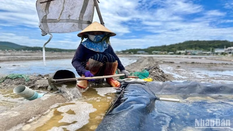 Bà Nguyễn Thị Huyền đưa nước vào những ô ruộng muối.