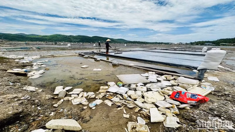 Rác thải lan sang các đồng muối của người dân.