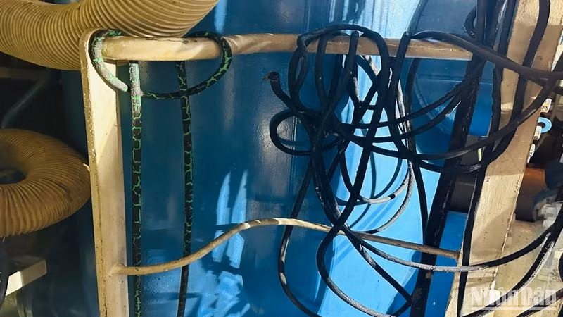 Dây gas và ống oxy để hàn, cắt quấn dày đặc trên các thanh sắt, hành lang.