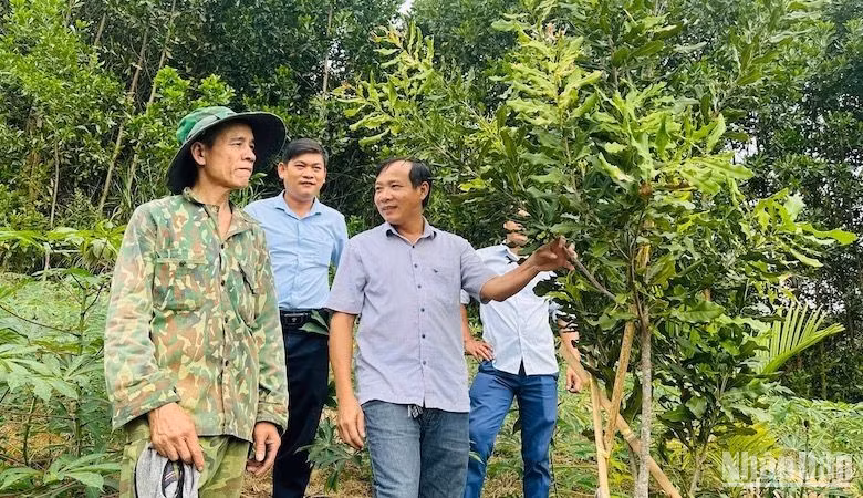 Chương trình Mỗi xã một sản phẩm hỗ trợ người dân miền núi phát triển kinh tế hộ gia đình.