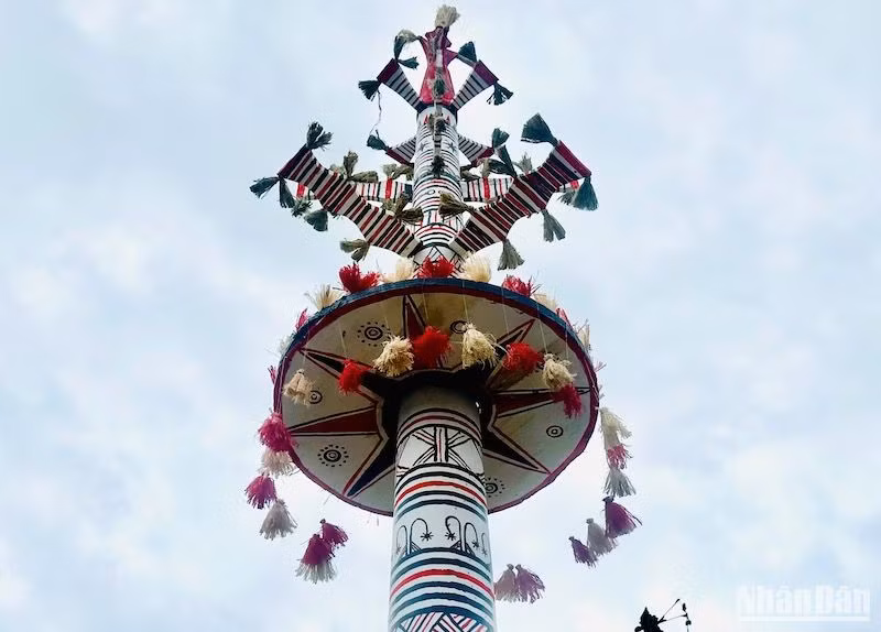 Hoa văn trang trí các loại nêu phong phú, đa dạng.