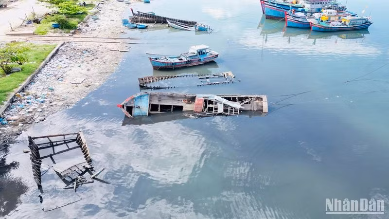 Cảng Sa Huỳnh có khoảng 26 xác tàu, tàu nằm bờ hư hỏng ngổn ngang.