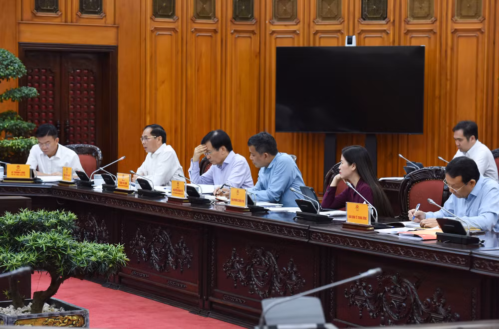 Các đại biểu tham dự cuộc họp.