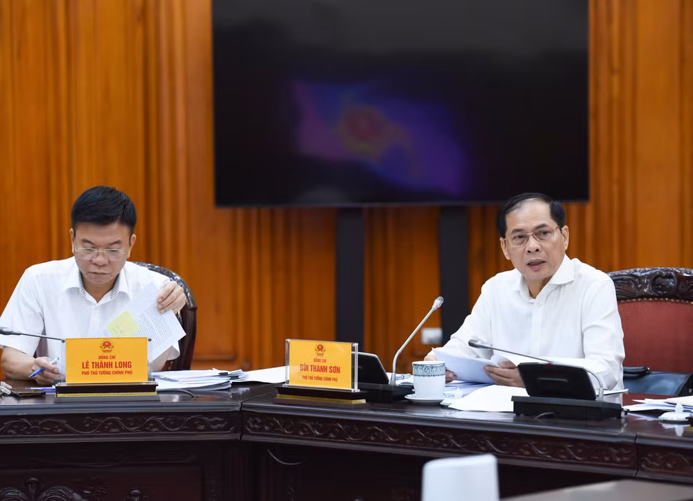 Phó Thủ tướng, Bộ trưởng Ngoại giao Bùi Thanh Sơn phát biểu tại cuộc họp.