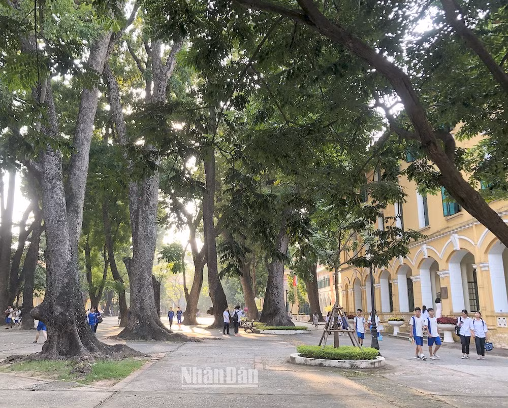 Sân trường. (Ảnh minh họa: VIỆT DŨNG)