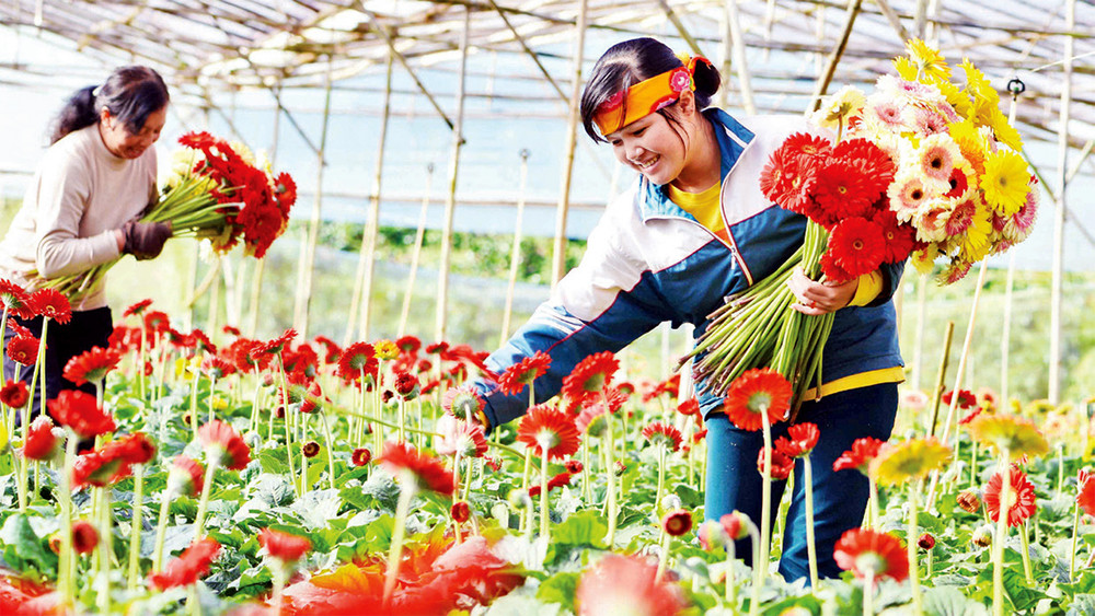 Ðà Lạt, thành phố ngàn hoa quanh năm khoe sắc.