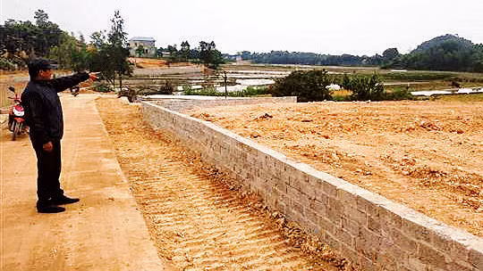 Một thửa đất cấp sổ đỏ vượt hạn mức đất ở. (Ảnh MẠNH KHÁNH)