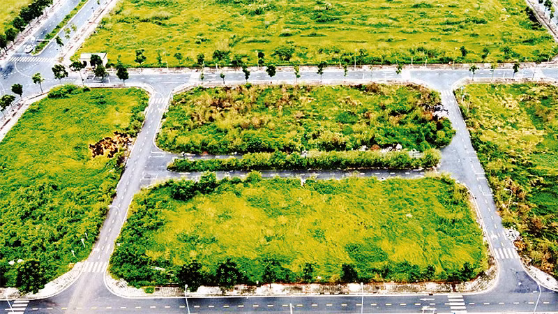 Khu đất chuẩn bị đưa ra đấu giá tại quận Long Biên.