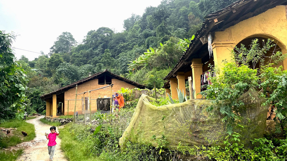 Những ngôi nhà trình tường hơn 60 năm tuổi.