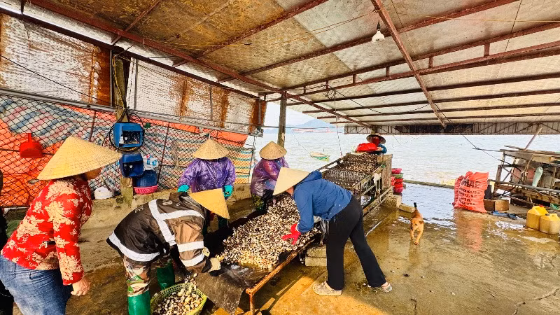 Mở rộng phạm vi gói tín dụng đối với lĩnh vực nông, lâm, thủy sản.