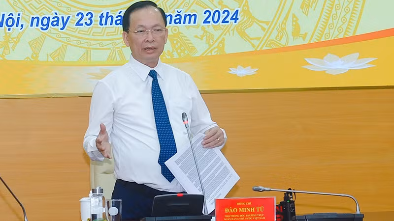 Phó Thống đốc Thường trực Ngân hàng Nhà nước Việt Nam Đào Minh Tú phát biểu tại cuộc họp.